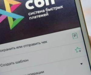Мгновенные платежи против валютного контроля: как СБП поставила банки перед невыполнимой задачей