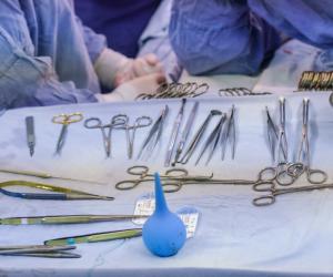 Рекорд в медицине: пациент прожил девять месяцев с почкой свиньи