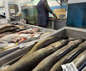 Путин поручил повысить потребление рыбы в России: «Это важно для здоровья нации»