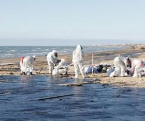 Крым на пороге новой экологической катастрофы. Сотни тысяч квадратных метров моря в нефтяной пленке