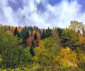Какой праздник сегодня: календарь на 30 октября праздники, памятные даты и известные личности