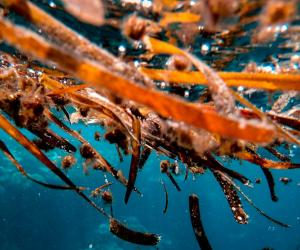 ������� ������ ������: ����� ������� ��������� �������� ��������� ������ ���������