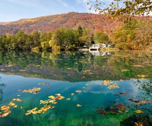 Завораживающая осень Кавказа: что скрывают Бадукские озера и почему туристы преодолевают сотни киломе ...