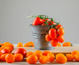 Зимний урожай на подоконнике: 3 сорта томатов, которые порадуют вкусом до весны