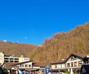 Представители Германии прибыли в Россию вопреки угрозам