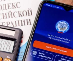 Налоговые сюрпризы: как новые пени затронут кошельки россиян