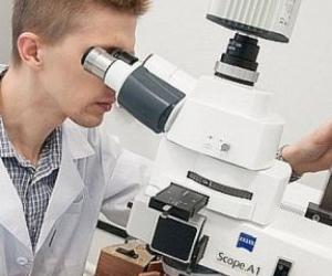 Трехлетняя обязательная отработка для медиков-бюджетников: что ждет выпускников медвузов с 2026 года