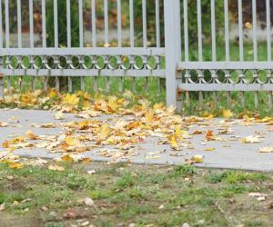 Аномальное потепление в России: что ждет европейскую часть страны в ближайшие дни