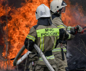 ������ ����� �� ������: ����� ������������ � ����������� ����