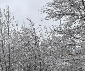 Москву ждет первый снег: синоптик Вильфанд назвал точную дату