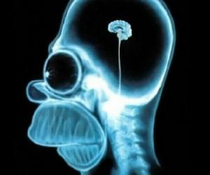 ����� ���� �����: ��� ������ ��� ��������� ��������� ���� ������ � ���������