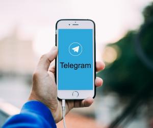 Telegram  2026 :          ?