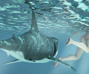 Тревожные каникулы: почему «безопасные» курорты преподносят туристам кровавые сюрпризы?