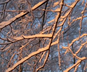 Короткая оттепель и обманчивое тепло: что скрывает резкий погодный разворот в Москве?