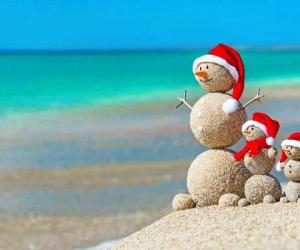 ������ ���������� ������ ����: ����� ����� ������ ������� ������� � 2026 ����?