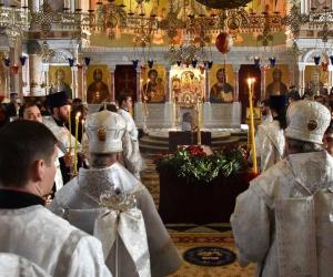 �� ���������� � ���� ������: ����� ������ �������� �������� ��������� �������� 19 �������