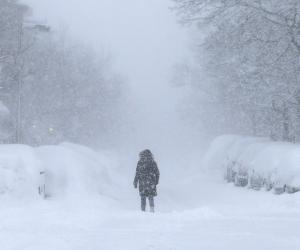 ����-2026: ��� � ��������� ������� ������ ������������ �������� ����������