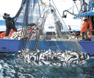 ���������� ���� ��������� �������: ������ � ������ ���������� �������