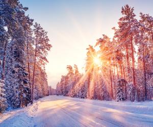 21 �������: ����, ����� ������ ���������� � �����������, ����� ������ �������� ��������