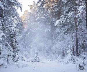 ������ ���� ���� ������: ��� ����������� ������, � ������� ��������� ���-����