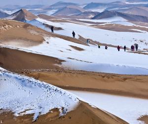 ������� � �����:  ���������� ���� ������������ ���������� ������