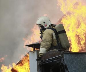 �������� ���� �� ������: ��� ����� ������ ��������� ���� � ������� � ������� �����