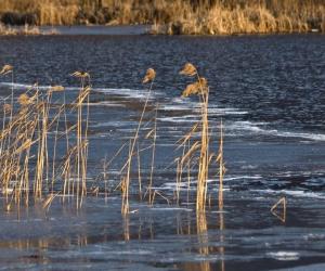 ������� ����� ������� �������������� ����: ����� �� ���� �� ��������� ����� ������?