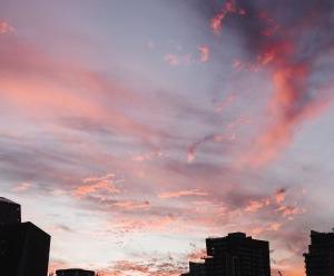 ����������� ������� ����� �� ������: �� 12 ����� ������ ������ �� ��������� � ����