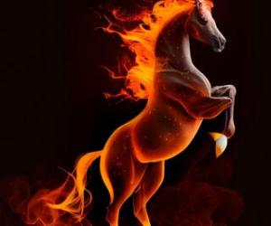 ��� ��������� �����: �������� �������� ������� ������������ ���� � ��� ������