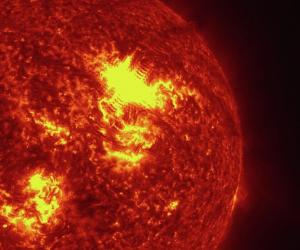 ����� ������: ������ ����������� ���� ������� ������� � ������� 2025