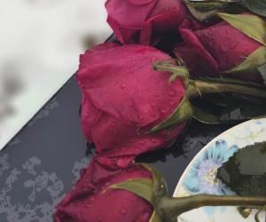 ���� �����: ���������� �������������� ���������� ��� �� ����� ����������