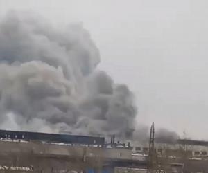 ������ ��� ��� �������: �� ������ ������������ ������ ������� �����