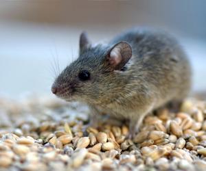 ��������� � ������: ������ ��������� ������ ������� ���������� ������� ����������