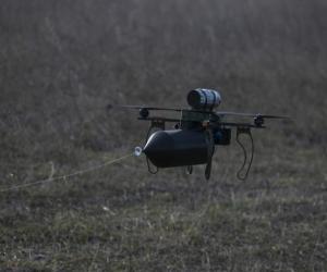 ���� ����� �������: ���������� ���* ��������* ��������� �� ����������� ������