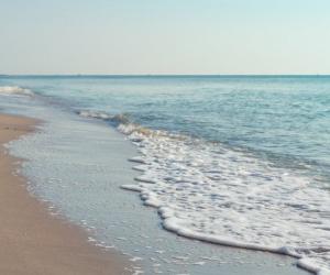 �� ������� � ������ �� �����: �������� ������� ������� ������ ������� � 2026 ����