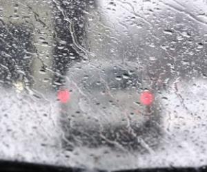 ��������� ������ ���������: �������� ���� ������ ���������� � ����� �������