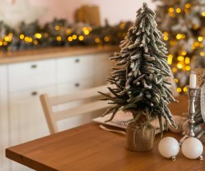 ���������� ����� 2025: ������� ������ ��� ������� ��������� �� ������