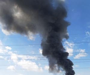 ������ ����� �� ���������: ��� �������� � ����������� �������� �������