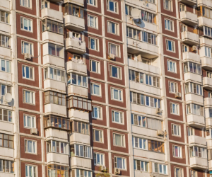 ������ ���� �������: ���� �� ��������� ����� �������� �� 27% �� ���