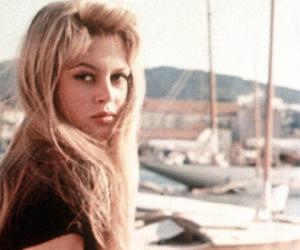 ���� �����: � �������� 91 ���� ���������� ������� �������� ������������� ������ �����