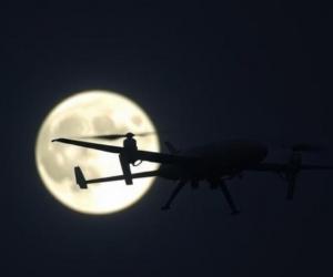 ��������� � ����: ��� ����������� ��� ���������� � ���� �� 29 �������