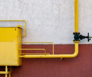 ��� ������ ����: ��� ��������� ������������� ������ ����� � ����