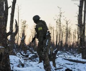 ���� �������� � ������ ������ �������: ��� �������� �������������� ��� ����������