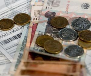 �� ������ �������� ��� �� �������? ��� ������� ������ � ��� �������� �������