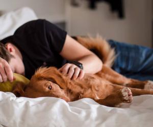 ����� �� ����� ������: ���� ���������, � ���� �������� ������� ���������� �� ���� ���