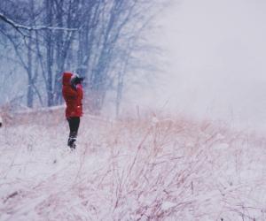 ����� ��� ���������: ��� ������ �������� �������� �� ������� � ����� �������