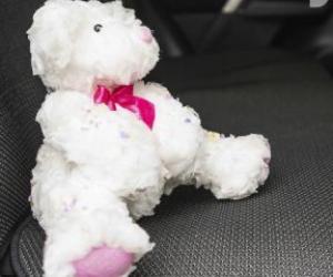 С 9 января в России штрафы за отсутствие детского кресла вырастут в разы: что грозит водителям