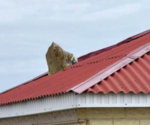 ������ �������������� ���� ��������� �� �����: ������� ����� ������� ����� ����