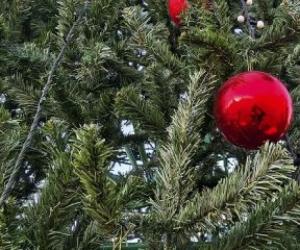 �� ������ ���������: ��� �� ����� ���� ������ � ���������� ����� ����� ����������