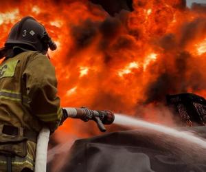 ������������� ���� �� ����������: ��� �������� � ������ �� ��������� ����� ������� �������� ����